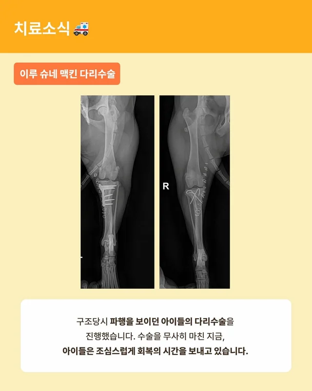 월간 위액트 3월호 현장 사진