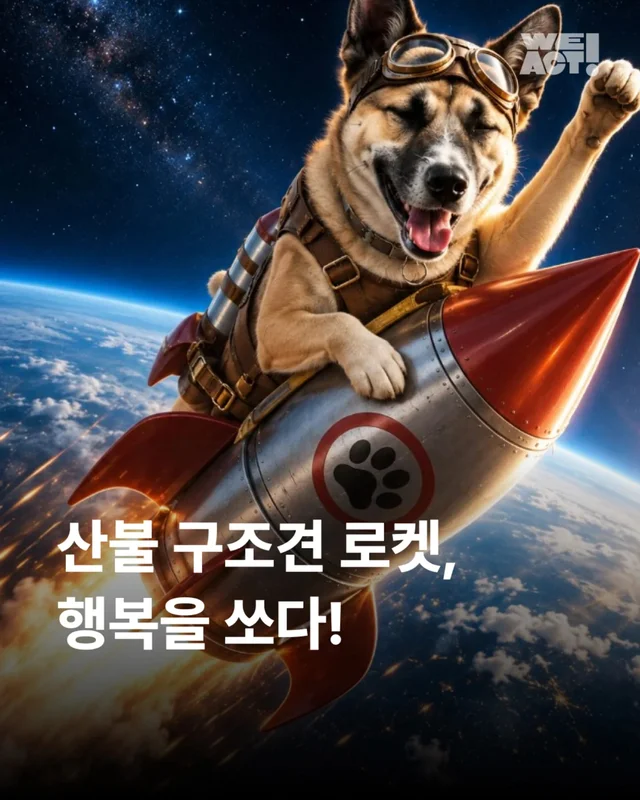 산불구조견 로켓, 행복을 쏘다 현장 사진