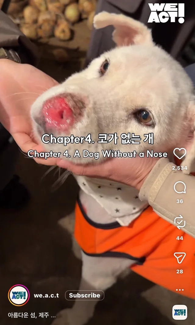 제주 2박3일_2 현장 사진