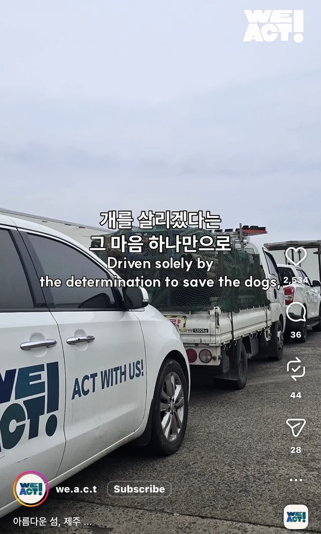 제주 2박3일_2 현장 사진