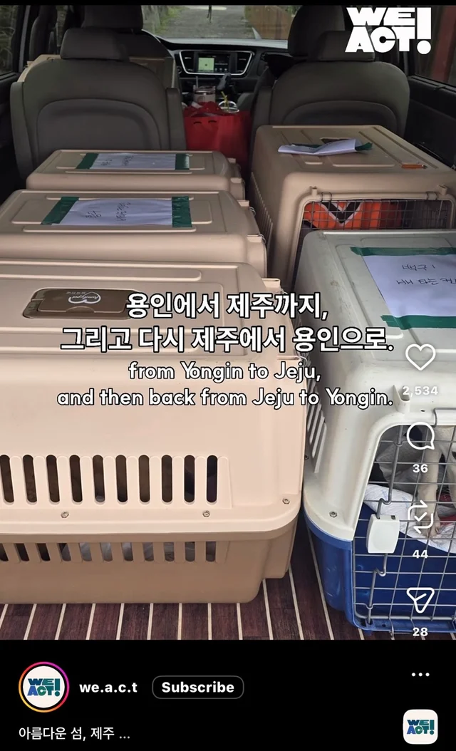 제주 2박3일_2 현장 사진