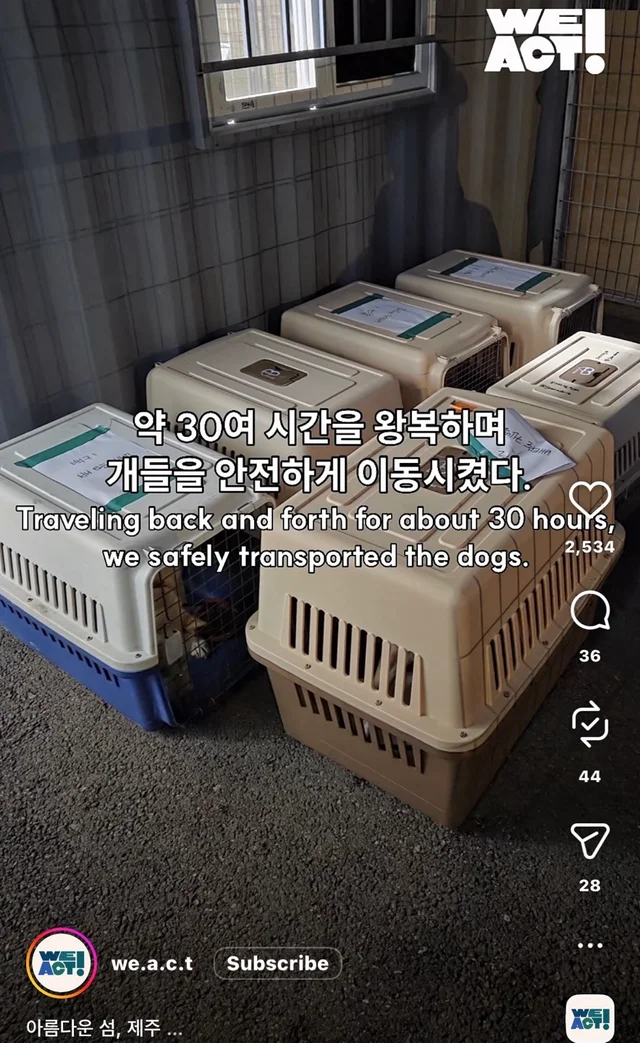 제주 2박3일_2 현장 사진