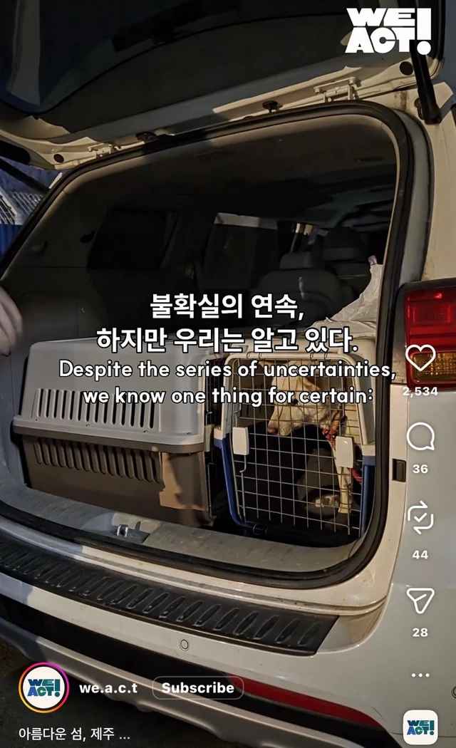 제주 2박3일_2 현장 사진