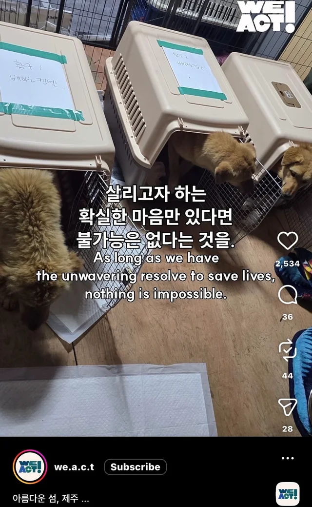 제주 2박3일_2 현장 사진