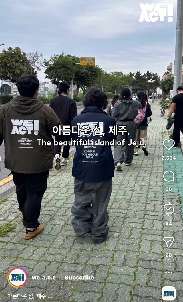 제주 2박3일_2 현장 사진