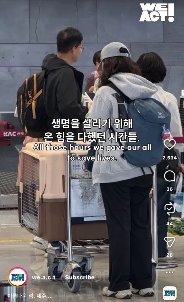 제주 2박3일_2 현장 사진