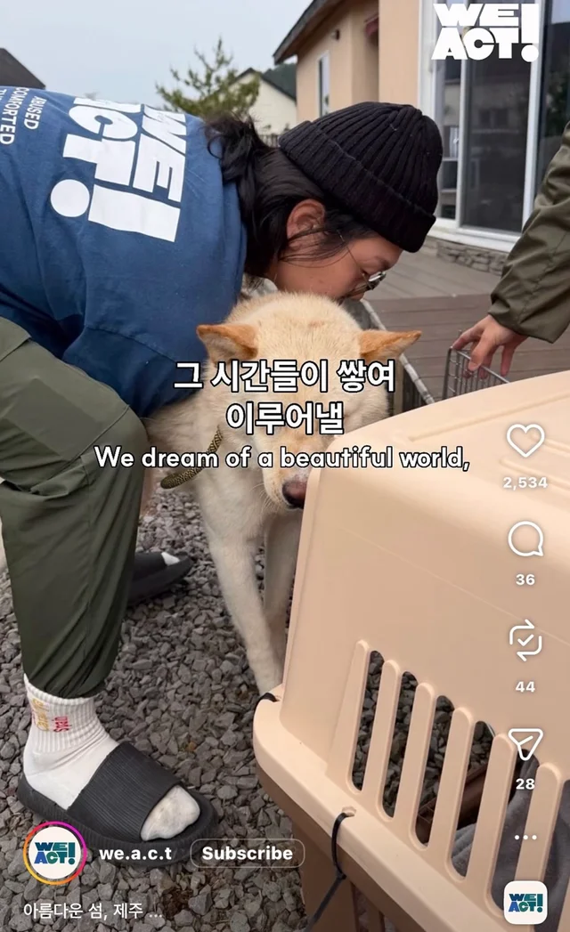 제주 2박3일_2 현장 사진