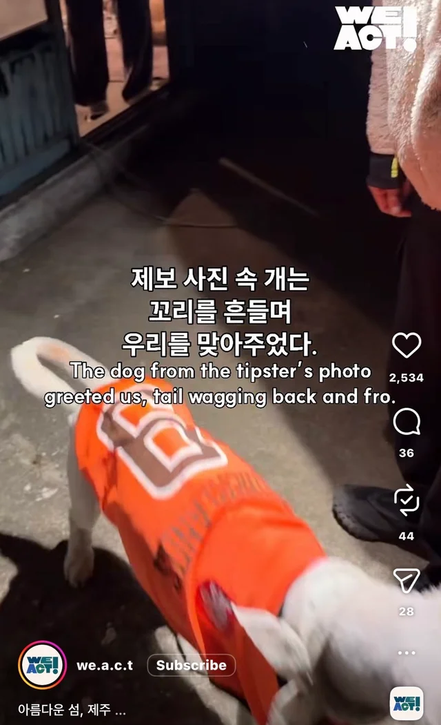 제주 2박3일_2 현장 사진