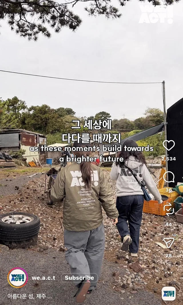 제주 2박3일_2 현장 사진