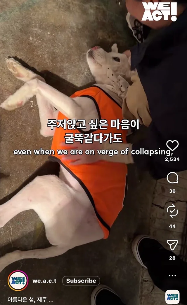 제주 2박3일_2 현장 사진