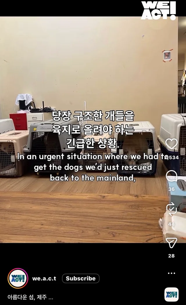 제주 2박3일_2 현장 사진