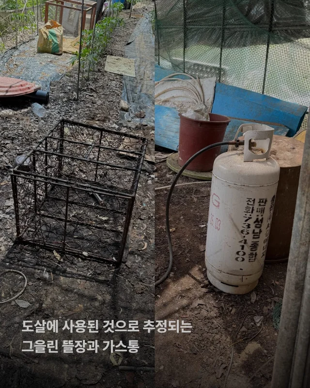 성남 불법개농장 현장 사진