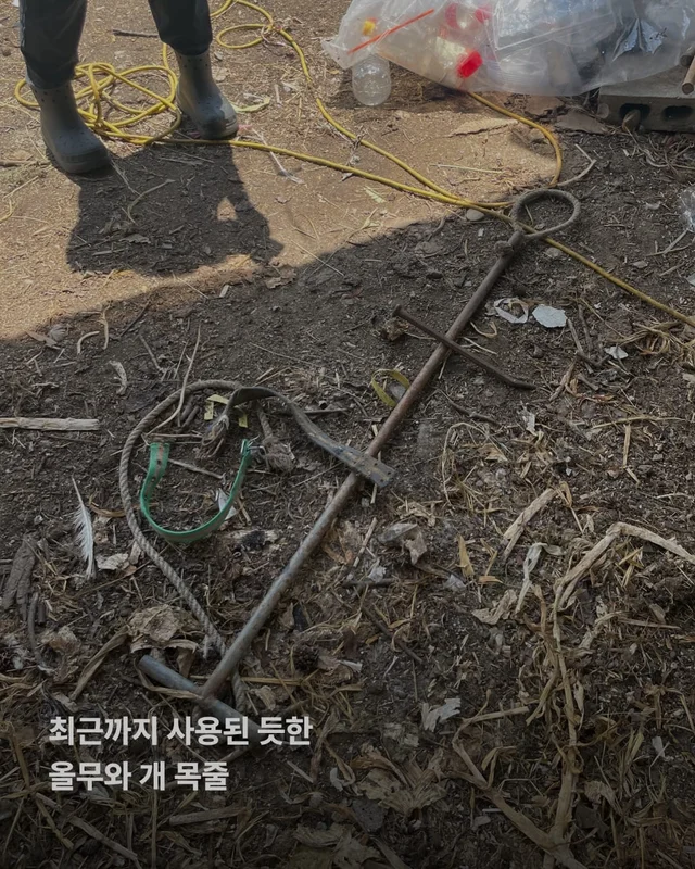 성남 불법개농장 현장 사진