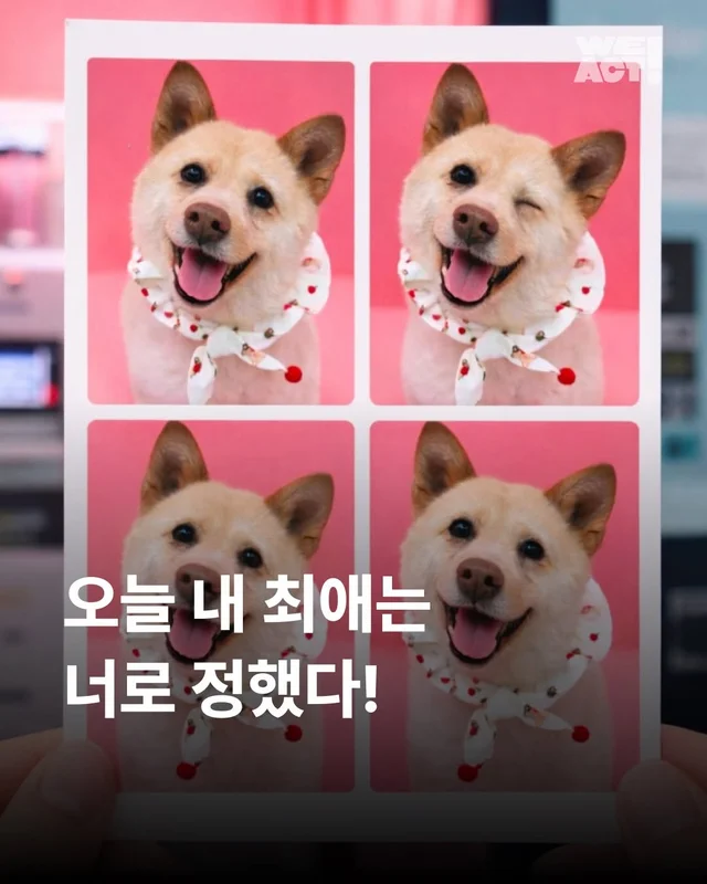 오늘 내 최애는 너로 정했다! 현장 사진