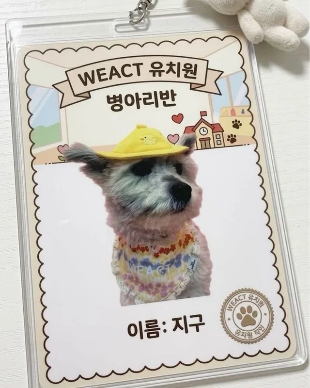 오늘 내 최애는 너로 정했다! 현장 사진