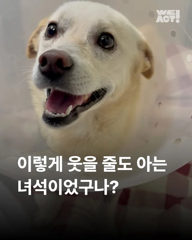 위액트 다름 현장 사진