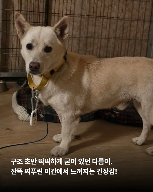 위액트 다름 현장 사진