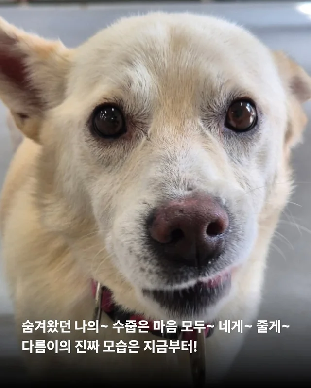 위액트 다름 현장 사진