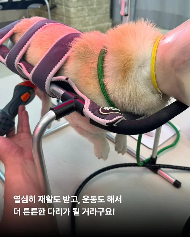 위액트 다름 현장 사진