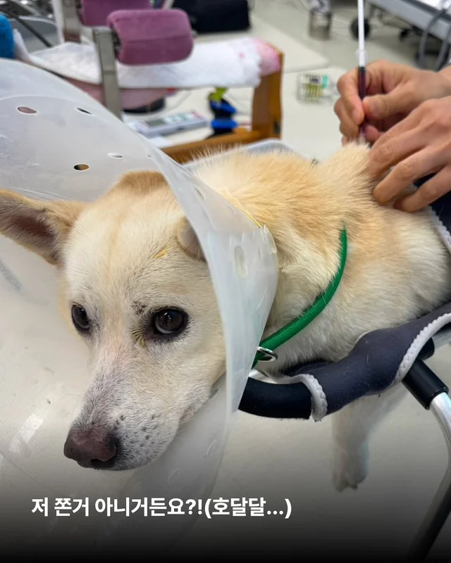 위액트 다름 현장 사진
