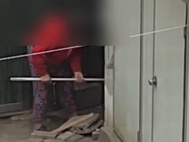몽둥이로 맞는 강아지 현장 사진