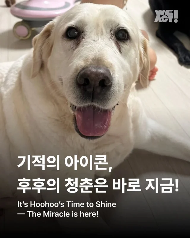 부산개백화점 - 위액트 후후 현장 사진
