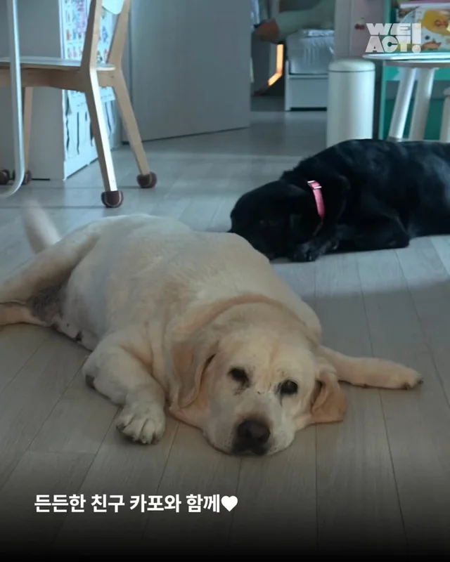 부산개백화점 - 위액트 후후 현장 사진