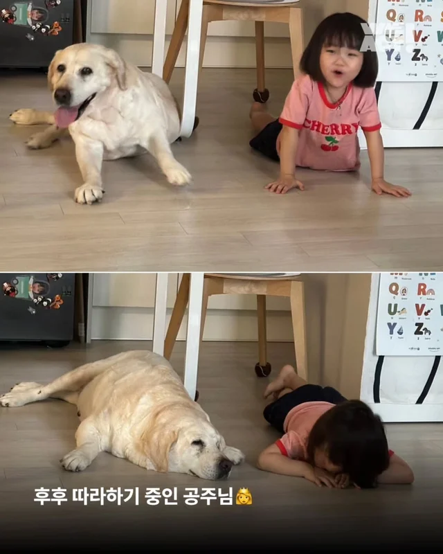 부산개백화점 - 위액트 후후 현장 사진