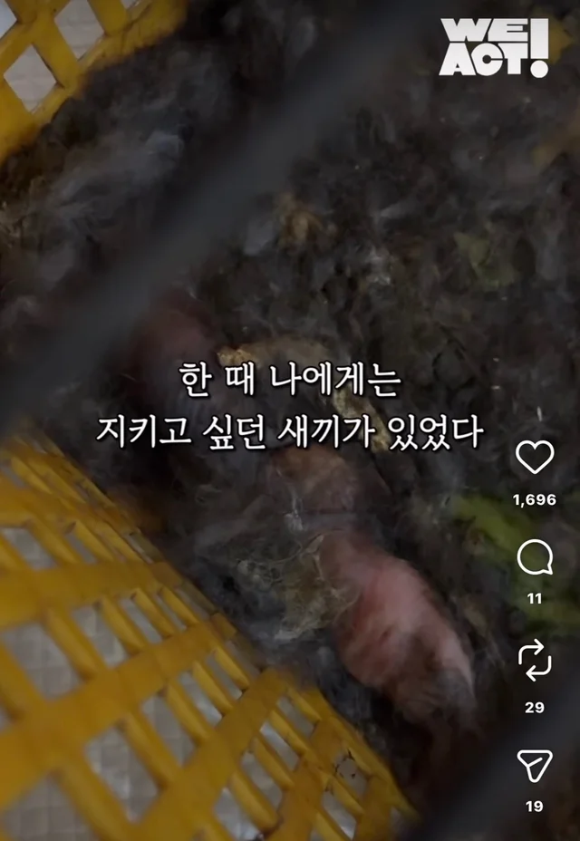 월아 입양 후기 현장 사진