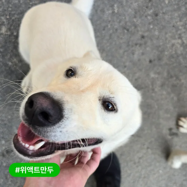 저도 트램펄린 위로 점프할 수 있을까요? 현장 사진