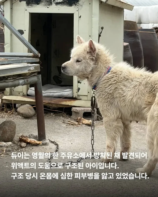 다리 한 쪽을 잃었습니다. 하지만 희망까지 잃지는 않.. 현장 사진