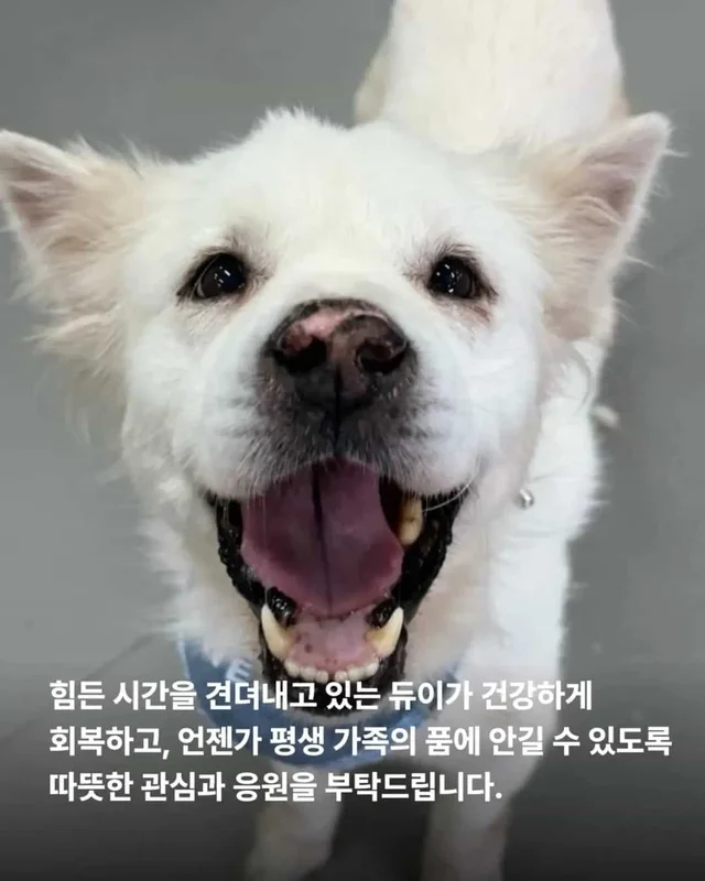 다리 한 쪽을 잃었습니다. 하지만 희망까지 잃지는 않.. 현장 사진