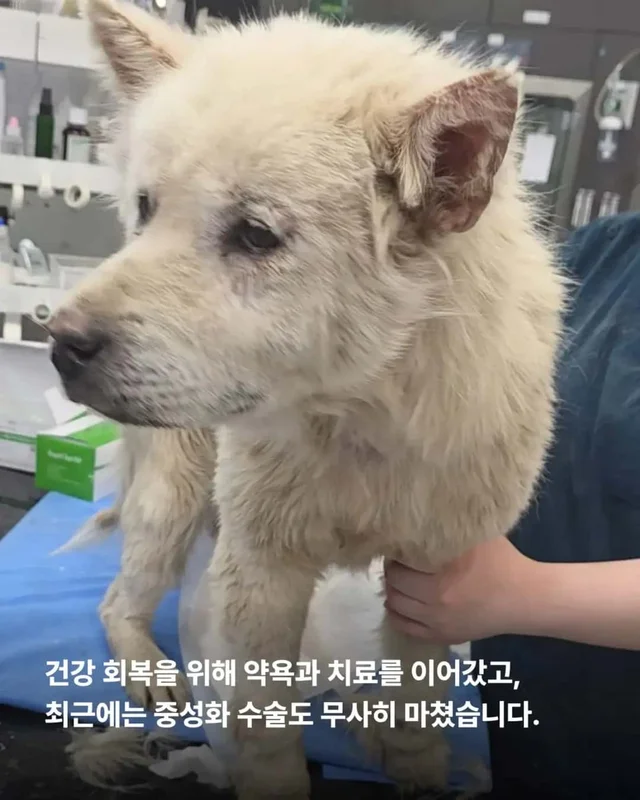 다리 한 쪽을 잃었습니다. 하지만 희망까지 잃지는 않.. 현장 사진