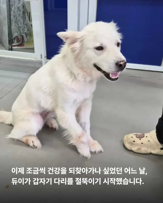 다리 한 쪽을 잃었습니다. 하지만 희망까지 잃지는 않.. 현장 사진
