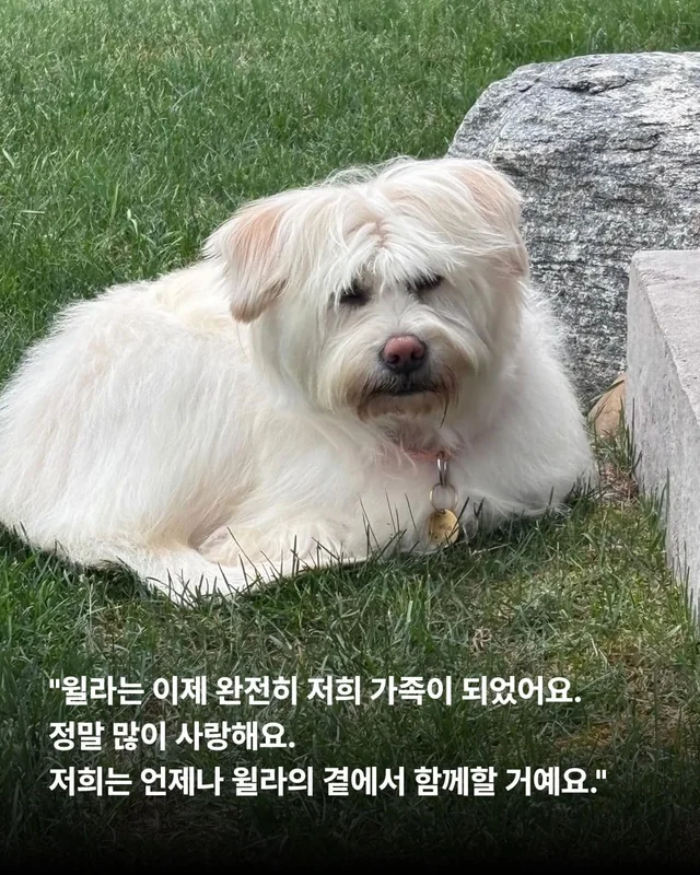머털도사 윌라! 캐나다 입주 신고 완료! 현장 사진