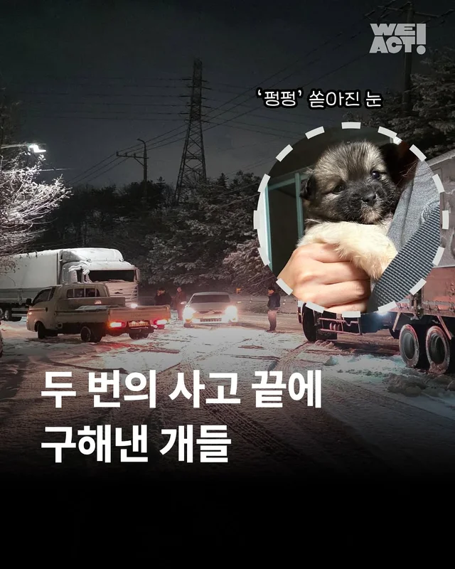 대전방치학대 현장 사진