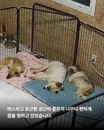 대전방치학대 현장 사진