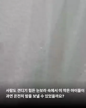 대전방치학대 현장 사진