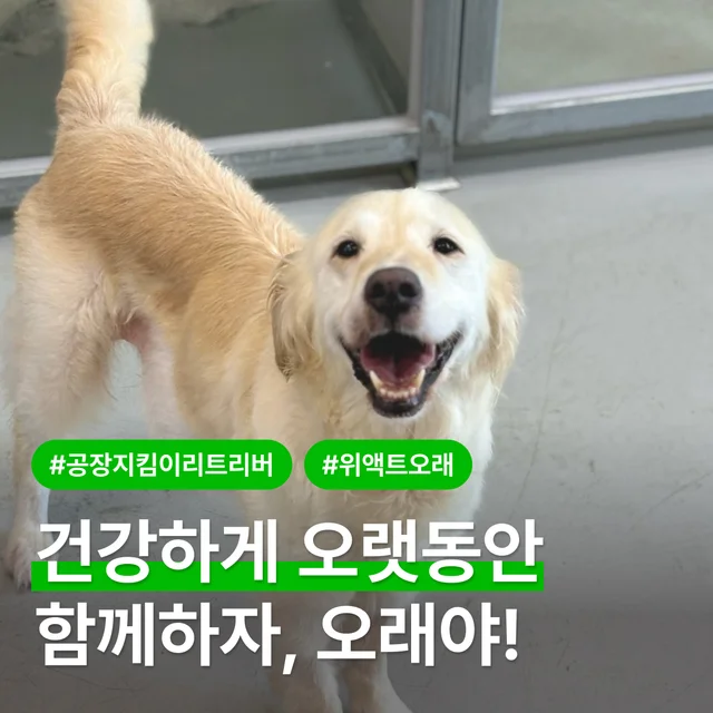 건강하게 오랫동안 함께하자 오래야! 현장 사진