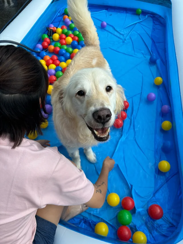 건강하게 오랫동안 함께하자 오래야! 현장 사진