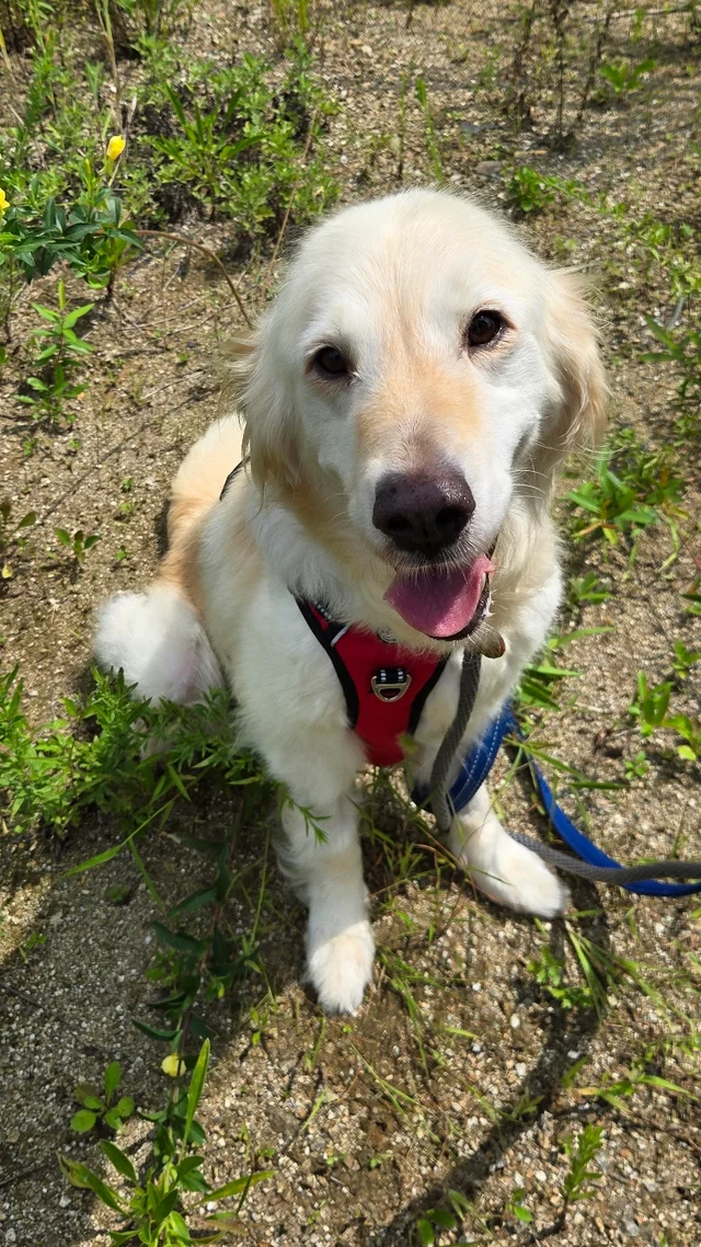 건강하게 오랫동안 함께하자 오래야! 현장 사진