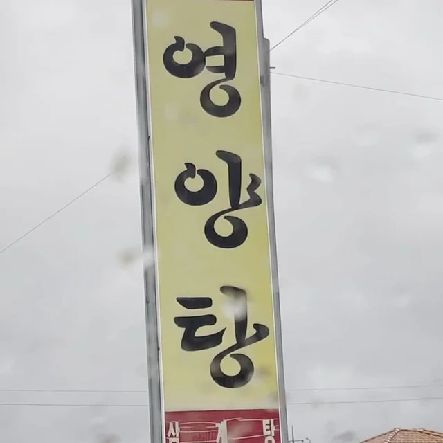 여주영양탕집동물학대 현장 사진