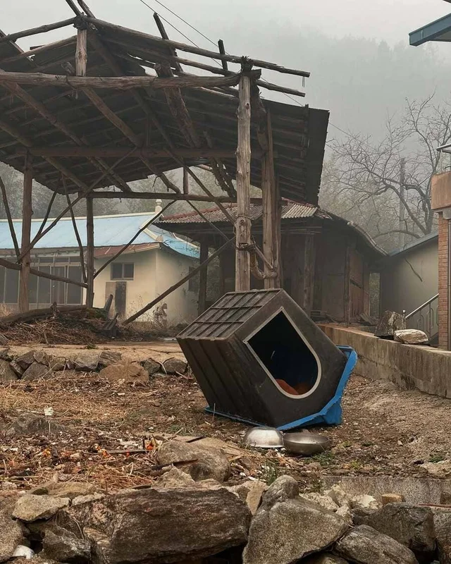 산청 산불 구조 현장 사진