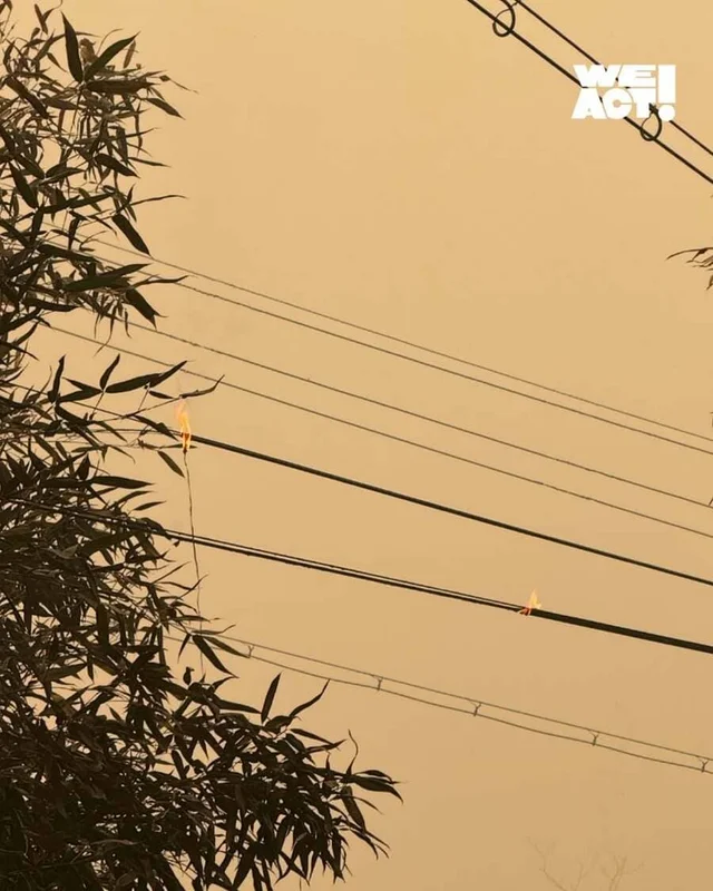 산청 산불 구조 현장 사진