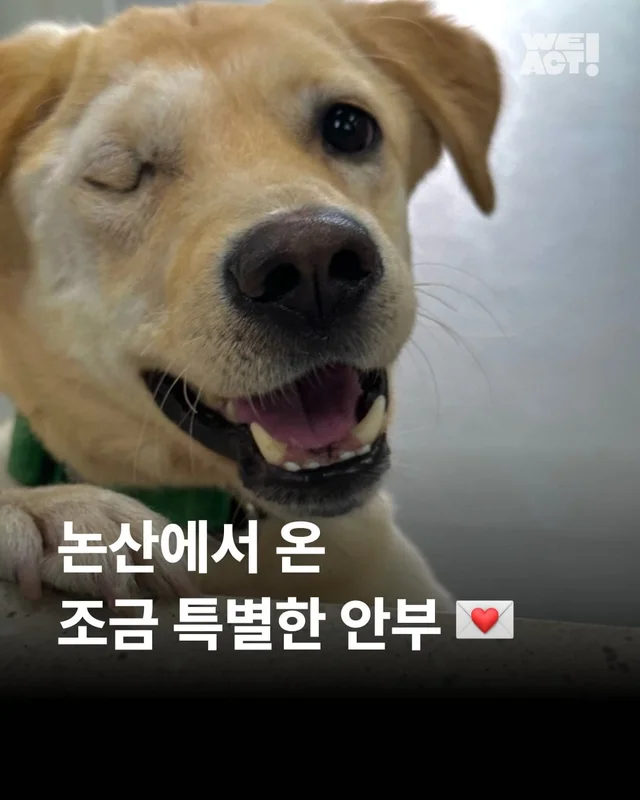 논산에서 온 조금 특별한 안부 현장 사진