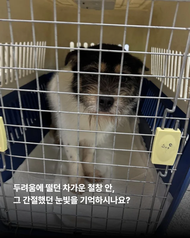 논산에서 온 조금 특별한 안부 현장 사진