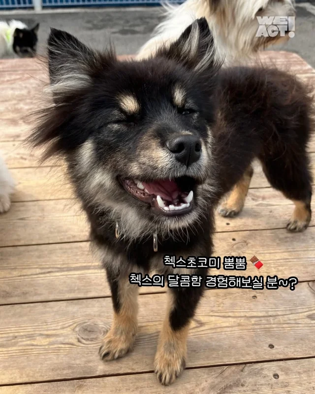 논산에서 온 조금 특별한 안부 현장 사진