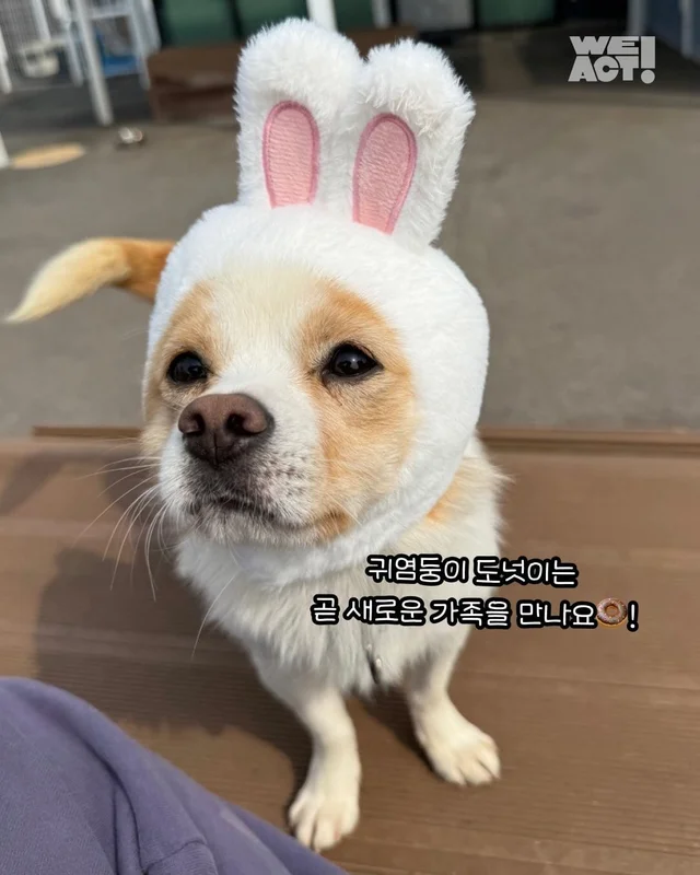 논산에서 온 조금 특별한 안부 현장 사진