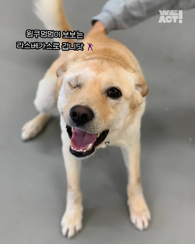 논산에서 온 조금 특별한 안부 현장 사진