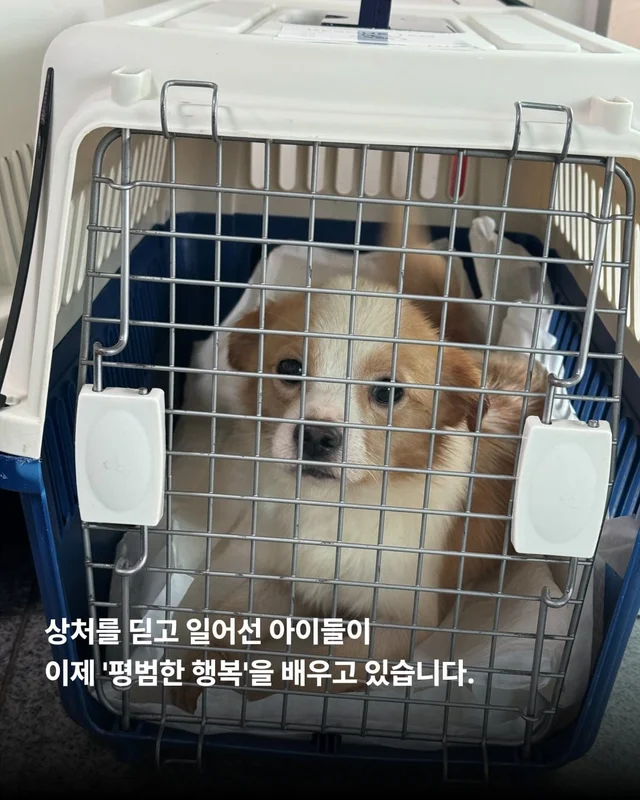 논산에서 온 조금 특별한 안부 현장 사진